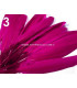 BOLSA 20 PLUMAS DE PATO 9-14 CMS.