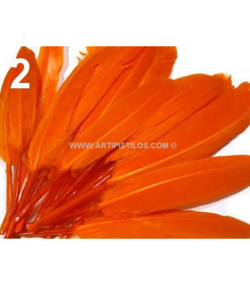 Bolsa 20 Plumas De Pato 9-14 Cms. Naranja 9 - 14 Cms. Bolsa De 20 Unidades. - colores para