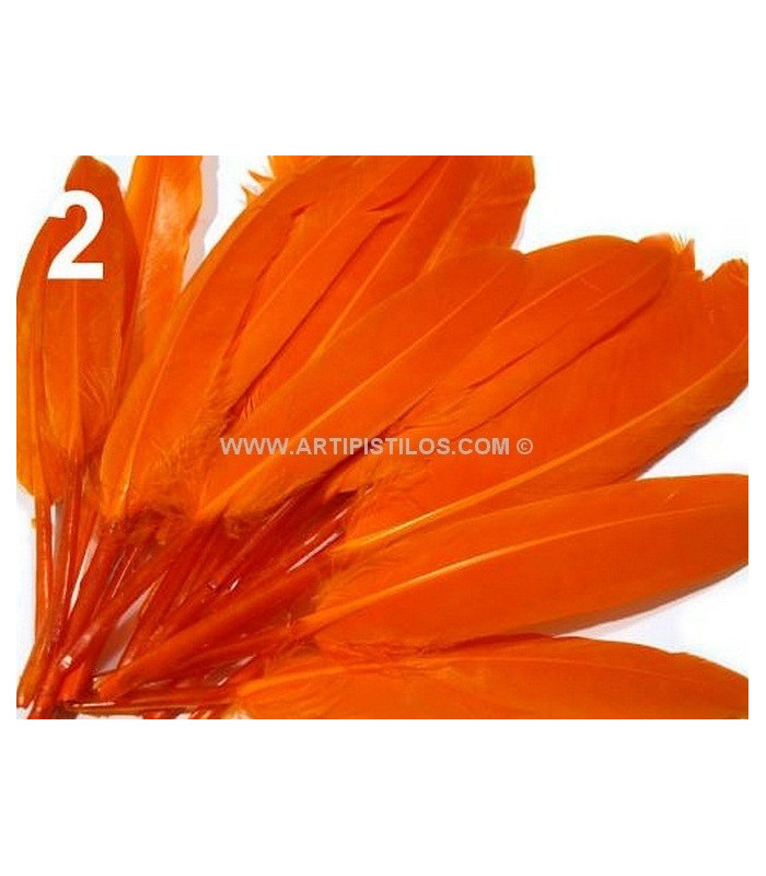 BOLSA 20 PLUMAS DE PATO 9-14 CMS.