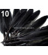BOLSA 20 PLUMAS DE PATO 9-14 CMS.