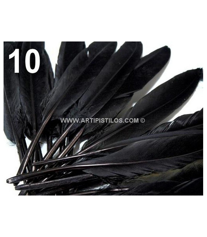 BOLSA 20 PLUMAS DE PATO 9-14 CMS.