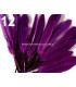 BOLSA 20 PLUMAS DE PATO 9-14 CMS.