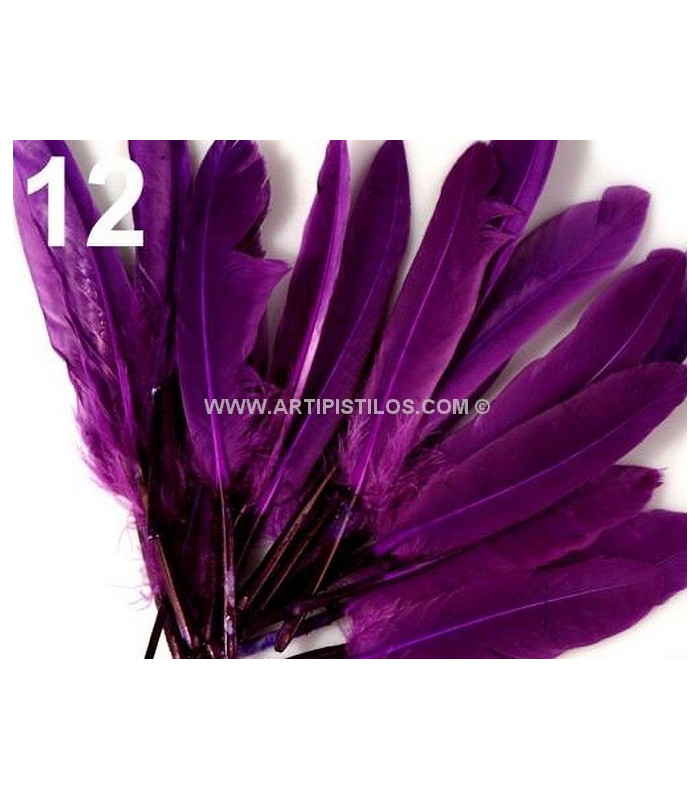 BOLSA 20 PLUMAS DE PATO 9-14 CMS.