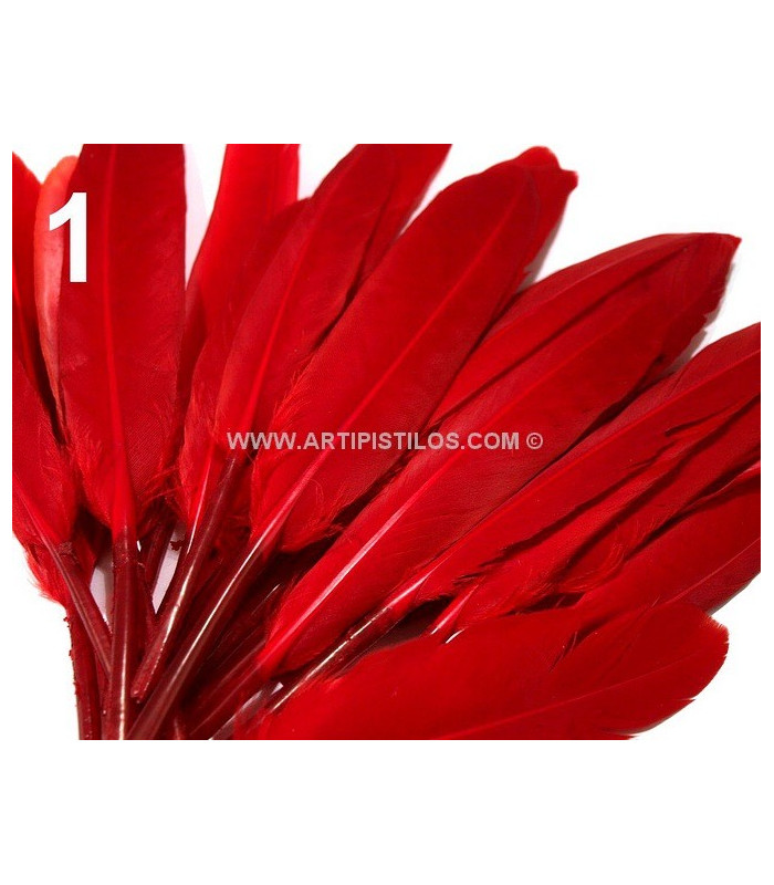 BOLSA 20 PLUMAS DE PATO 9-14 CMS.