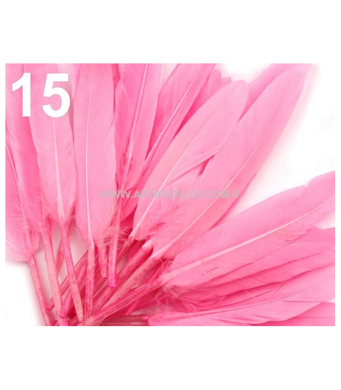 BOLSA 20 PLUMAS DE PATO 9-14 CMS.