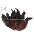FEATHER ROOSTER BAG 10-17 CMS.