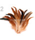 FEATHER ROOSTER BAG 10-17 CMS.