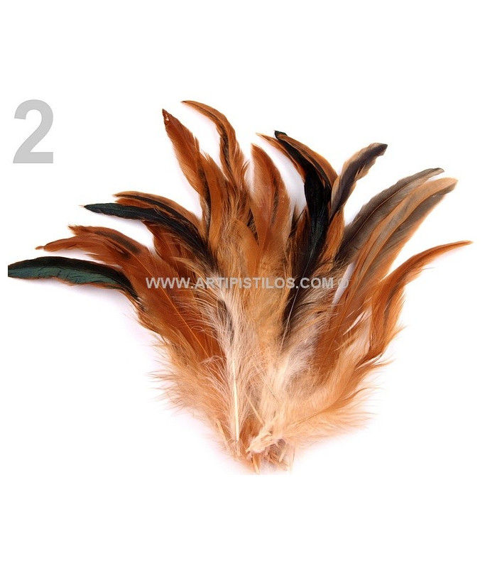 FEATHER ROOSTER BAG 10-17 CMS.