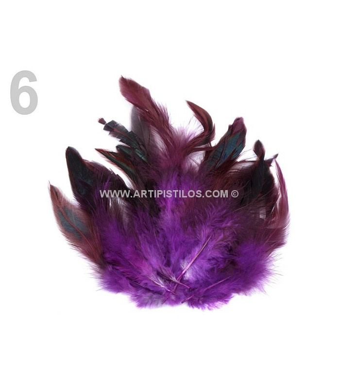 FEATHER ROOSTER BAG 10-17 CMS.