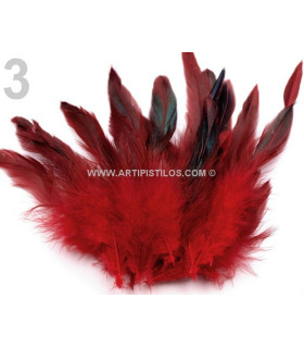 FEATHER ROOSTER BAG 10-17 CMS.