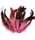 FEATHER ROOSTER BAG 10-17 CMS.