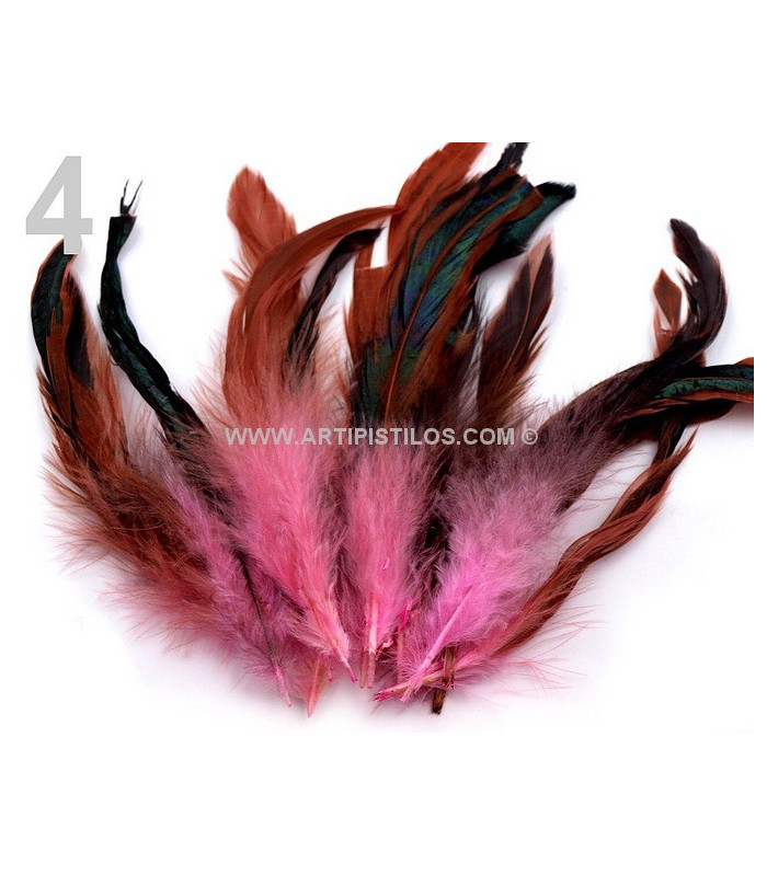 FEATHER ROOSTER BAG 10-17 CMS.