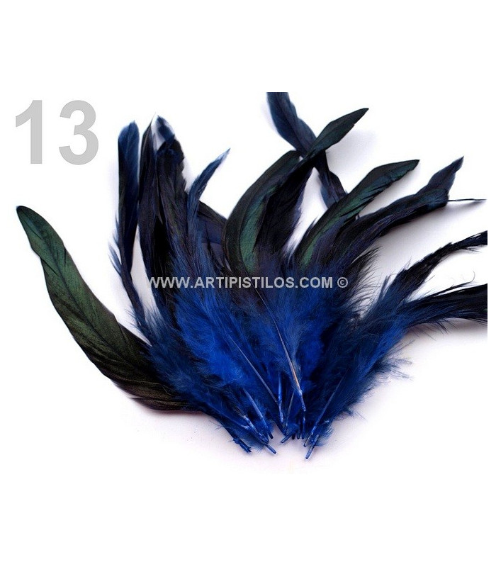 FEATHER ROOSTER BAG 10-17 CMS.