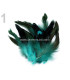 FEATHER ROOSTER BAG 10-17 CMS.