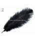 PLUMA DE AVESTRUZ 20 - 25 cm