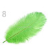 PLUMA DE AVESTRUZ 20 - 25 cm