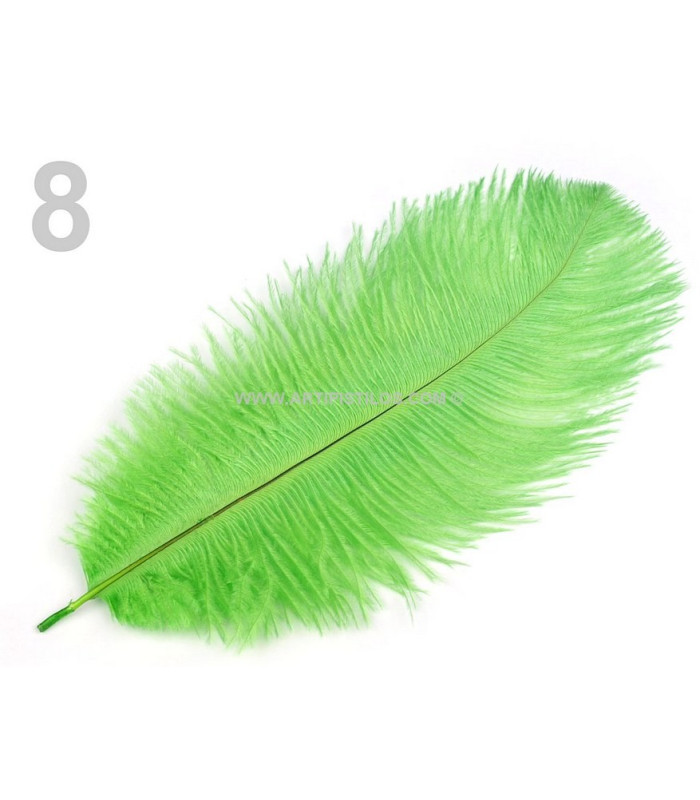 Ostrich Feather length approx. 20-25 cm
