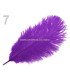 PLUMA DE AVESTRUZ 20 - 25 cm