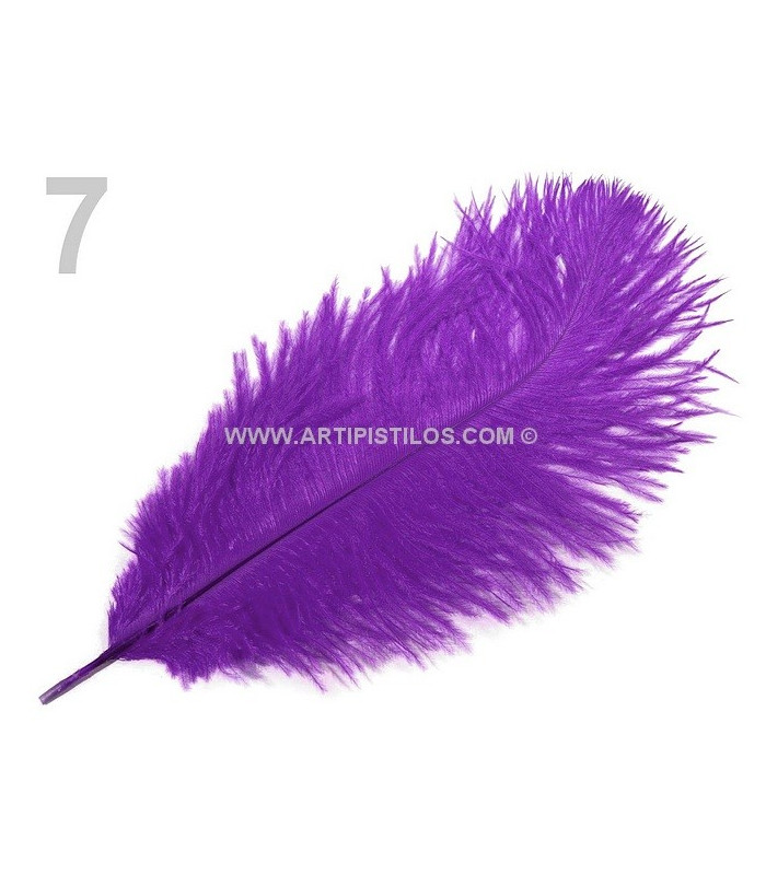 Ostrich Feather length approx. 20-25 cm