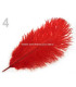 PLUMA DE AVESTRUZ 20 - 25 cm