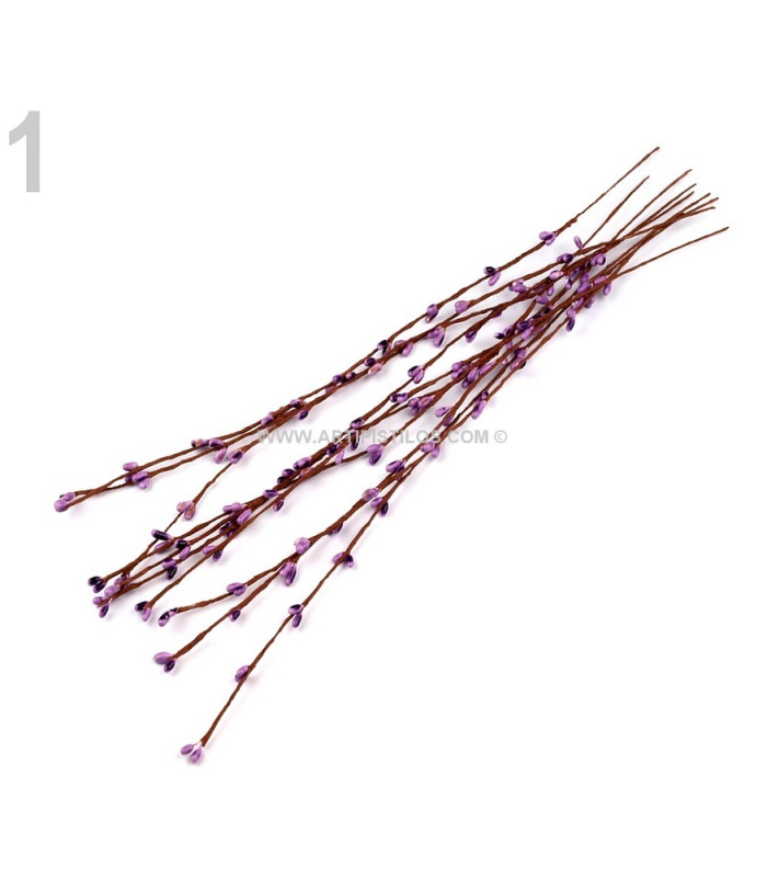 STAMEN BRANCH 39 CMS.