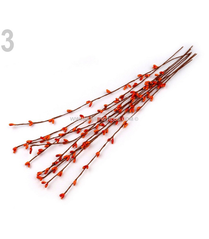 STAMEN BRANCH 39 CMS.