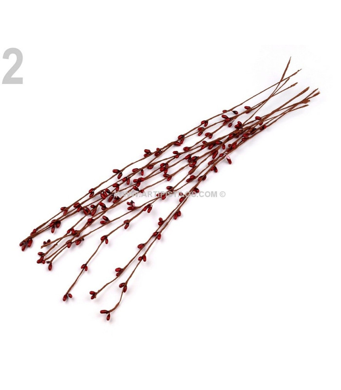 STAMEN BRANCH 39 CMS.