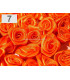 SATIN MINIROSE 13-15 MM.