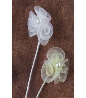 ORGANDY ROSE