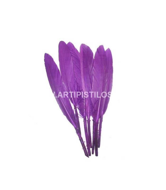 BOLSA DE 15 PLUMAS DE ÁNADE