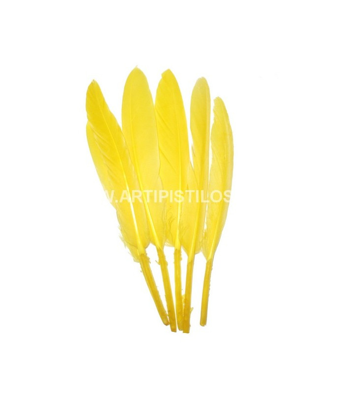 BOLSA DE 15 PLUMAS DE ÁNADE