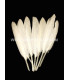 BOLSA DE 15 PLUMAS DE ÁNADE