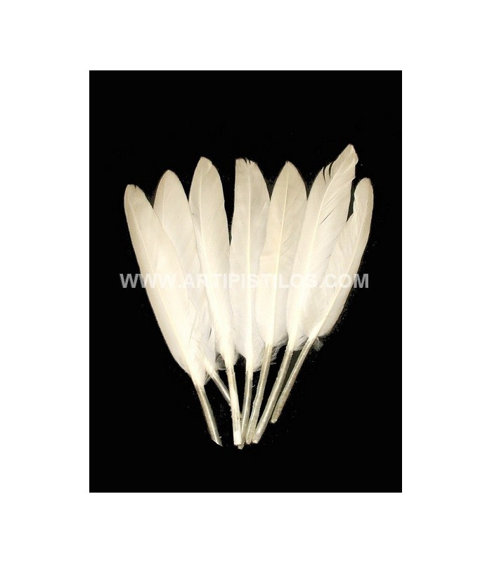 BOLSA DE 15 PLUMAS DE ÁNADE
