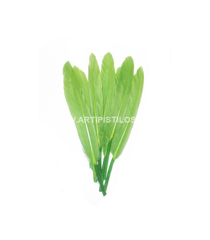 BOLSA DE 15 PLUMAS DE ÁNADE