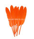 BOLSA DE 15 PLUMAS DE ÁNADE