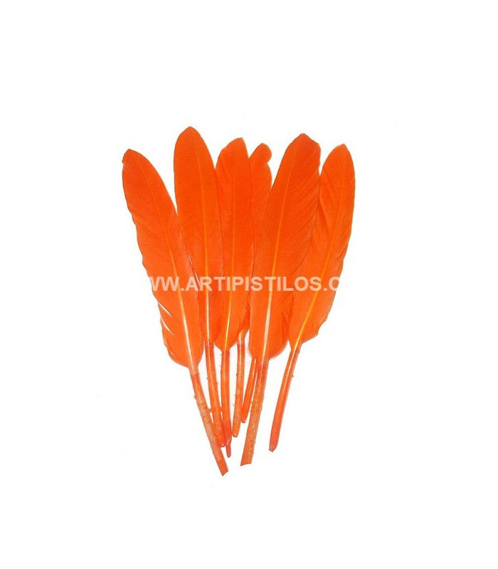 BOLSA DE 15 PLUMAS DE ÁNADE