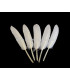 BOLSA DE 15 PLUMAS DE ÁNADE