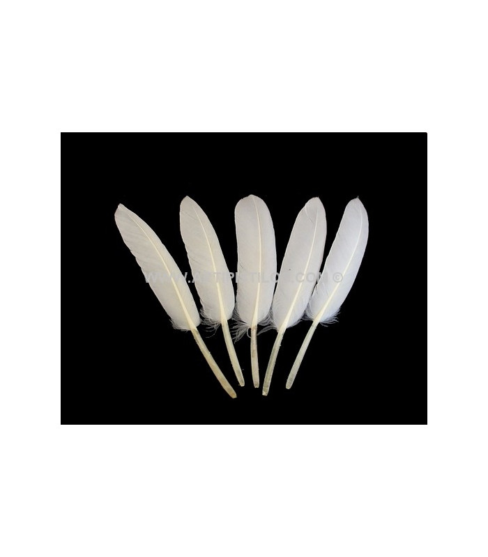 BOLSA DE 15 PLUMAS DE ÁNADE