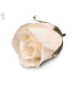 AROMATIC ROSES 4,5 X 6,5 CMS.
