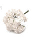 12 MINIROSES PAPER BUNDLE