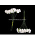12 FLOWERS BUNDLE