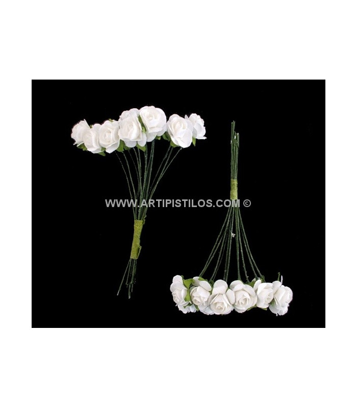 12 FLOWERS BUNDLE