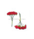 12 FLOWERS BUNDLE