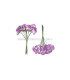 12 FLOWERS BUNDLE