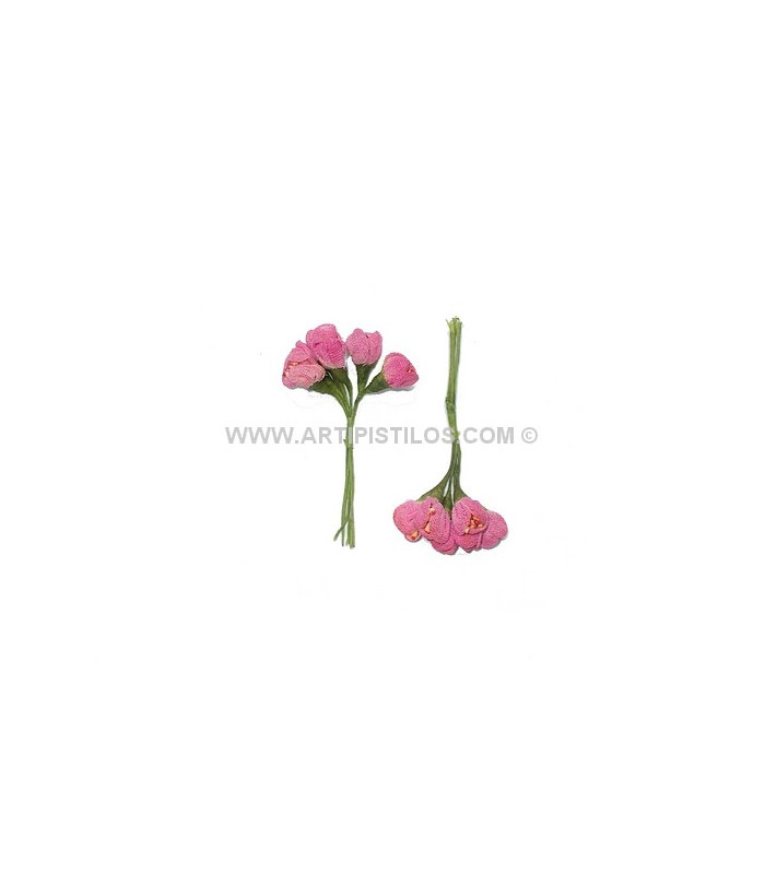 POMO 6 FLORES TULIPAN