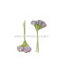 6 FLOWERS BUNDLE