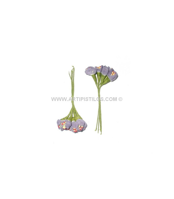 POMO 6 FLORES TULIPAN