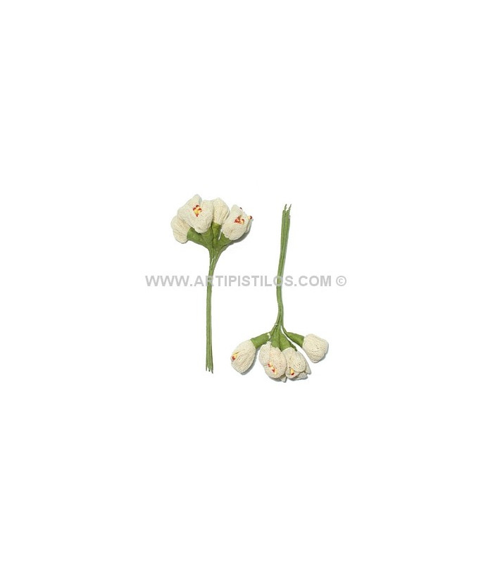 6 FLOWERS BUNDLE