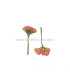 6 FLOWERS BUNDLE