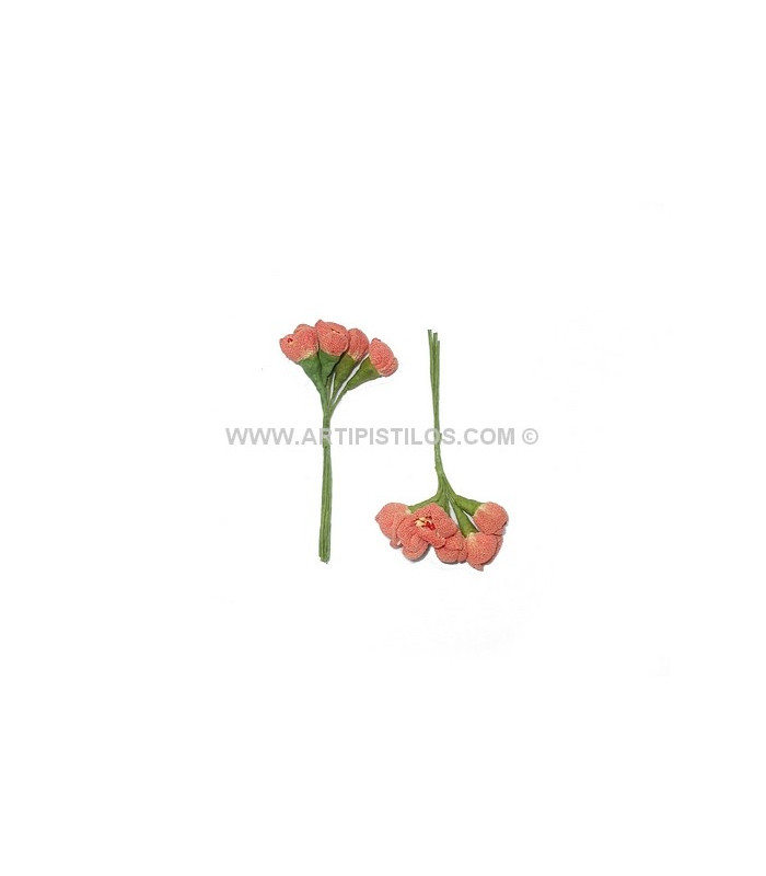 6 FLOWERS BUNDLE